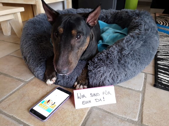© Moni Rinner Hund der Autorin mit Hinweis "WIr sind für euch da!"