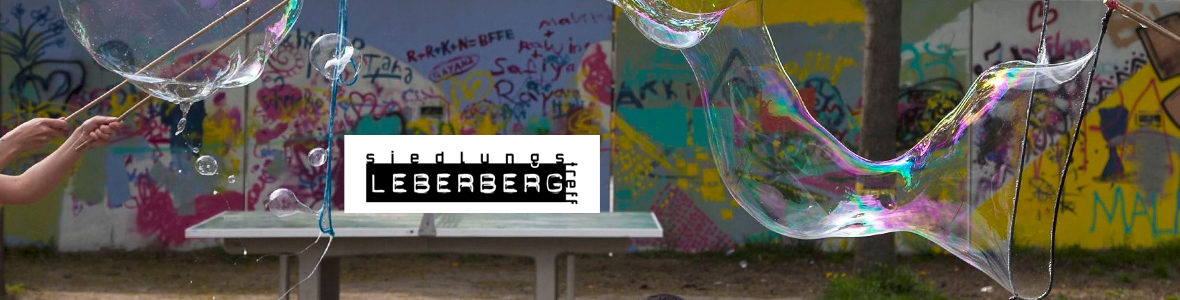 Siedlungstreff Leberberg, Wiener Jugendzentren