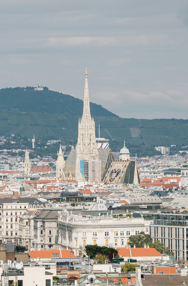 Häuser vorne, Stephansdom im Mittelpunkt mit Bergen im Hintergrund zu sehen