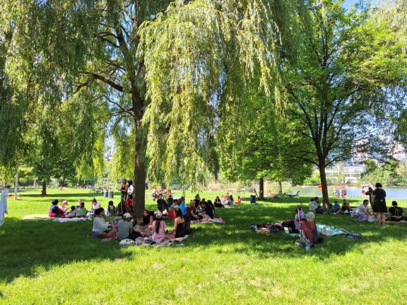 Mädchen*Picknick auf der Wiese mit großen Bäumen und alten Donau im Hintergrund