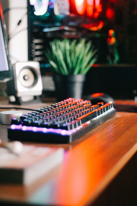 Schreibtisch mit Tastatur und Pflanze